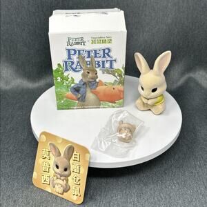 Peter Rabbit Vegetables Fairy Blind Box Figure Dodowo Funism Mopsy Mushroom PVC
